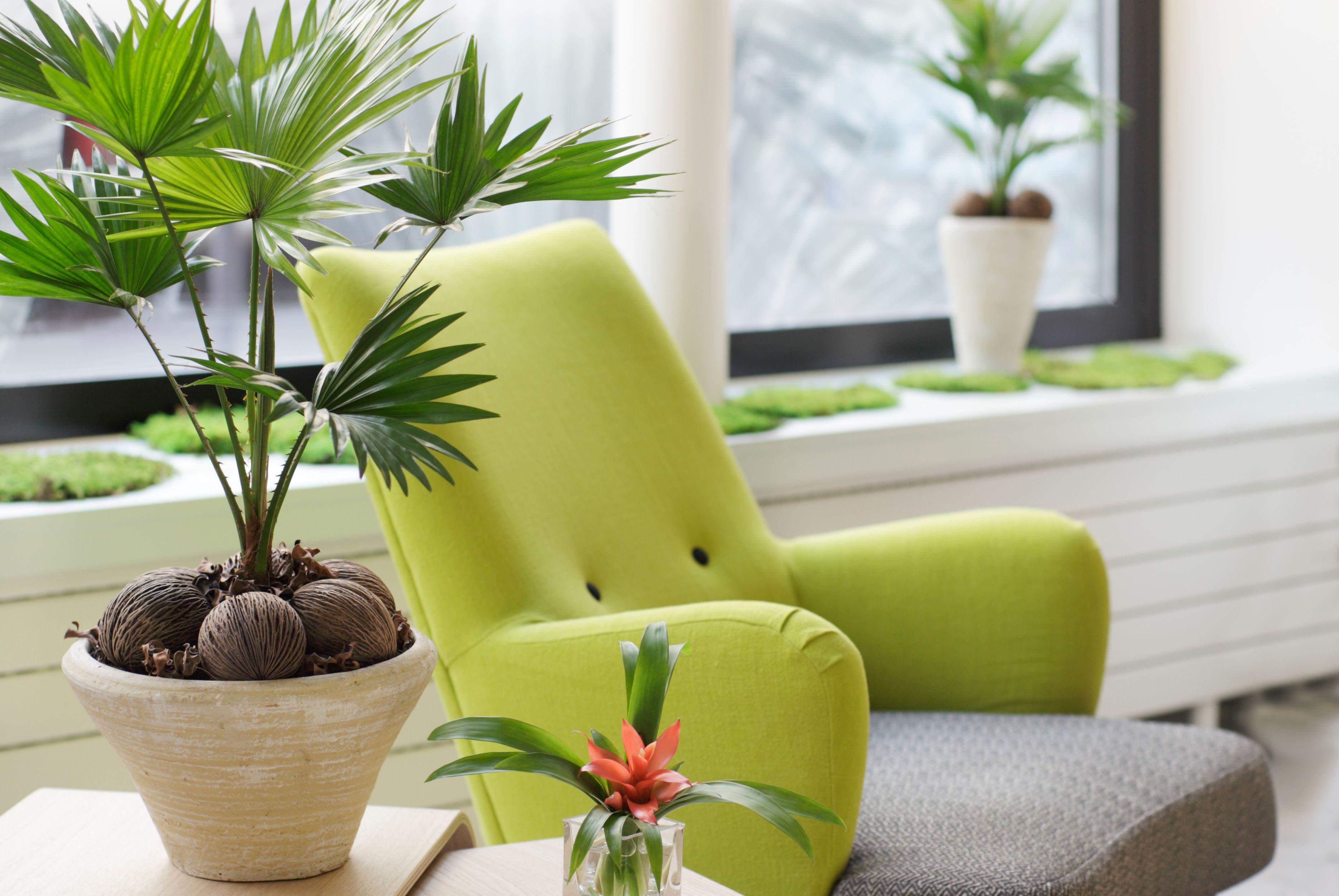 Palm - Astotel Paris