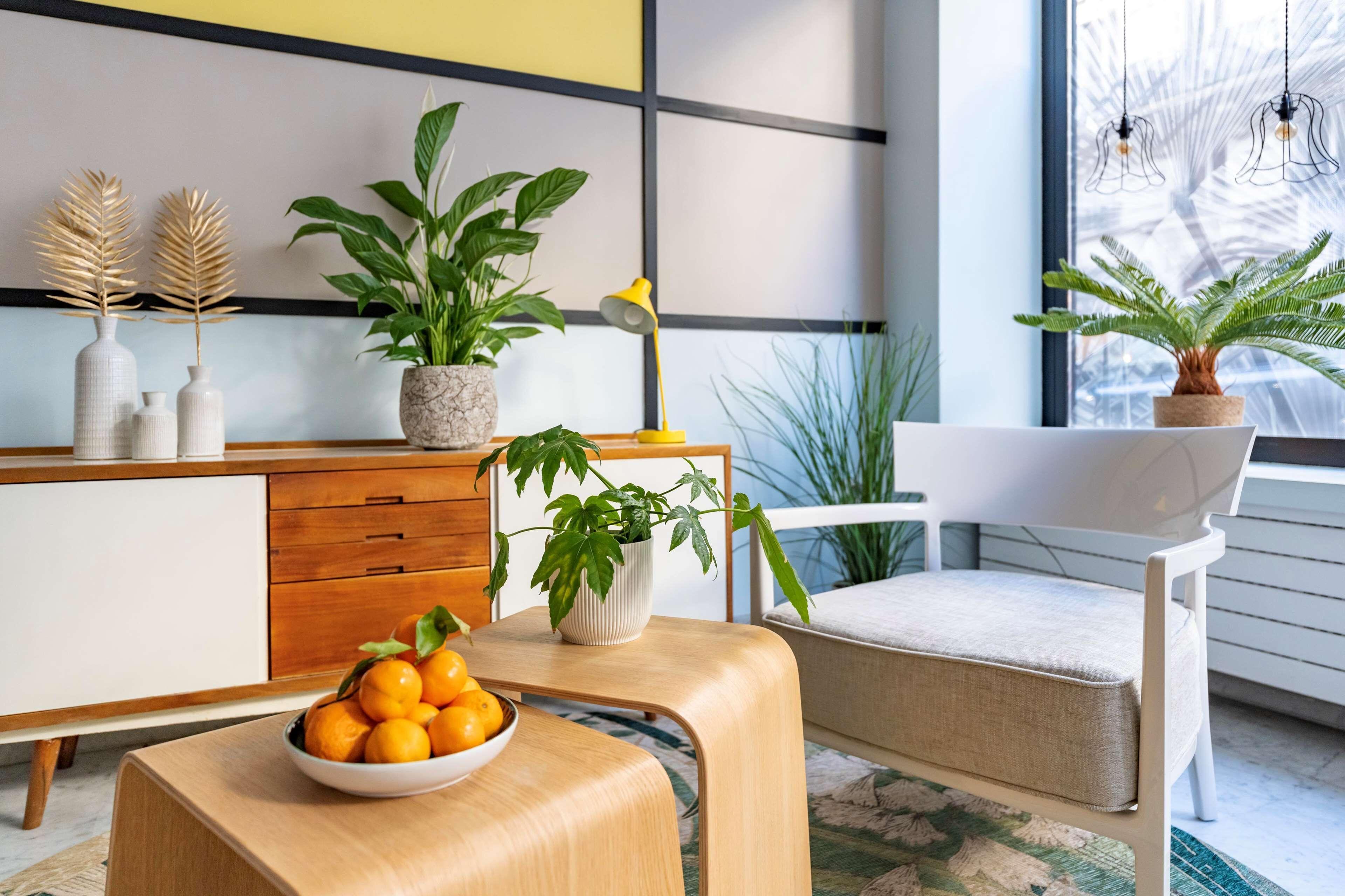 Palm - Astotel 3* Paris